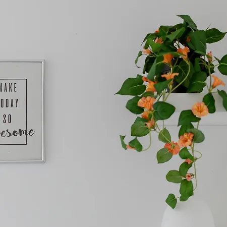 Apartment Lesna Fala Lesne Tarasy Epapartamenty